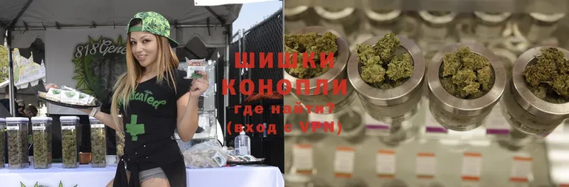 Бошки марихуана индика  купить наркотик  Городовиковск 